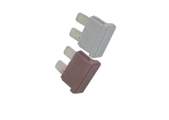 Forma lisa material ativa rápida automotivo iluminada do fusível PBT de 1 ampère