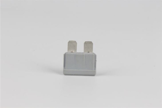 Fusíveis do veículo elétrico 125VAC, madeira elétrica Shell do fusível ativo rápido de uma C.C. de 40 ampères