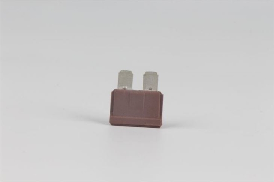 Fusíveis do veículo elétrico 125VAC, madeira elétrica Shell do fusível ativo rápido de uma C.C. de 40 ampères