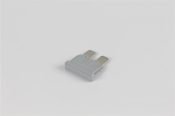 Fusíveis do veículo elétrico 125VAC, madeira elétrica Shell do fusível ativo rápido de uma C.C. de 40 ampères