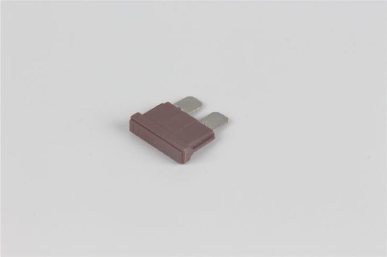 Fusíveis do veículo elétrico 125VAC, madeira elétrica Shell do fusível ativo rápido de uma C.C. de 40 ampères