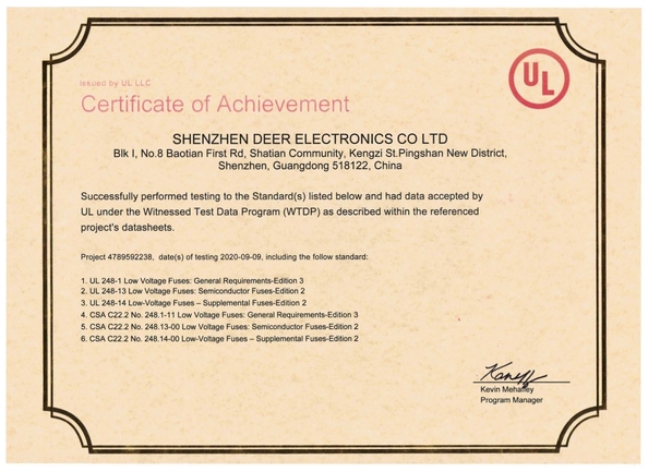 China Dissmann | Global Expert Fuse for EV | HEV | Photovoltaic | Battery | Energy Storage Solutions Certificações