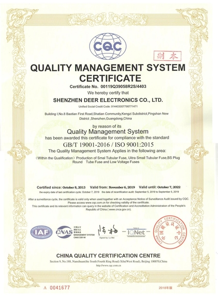 China Dissmann | Global Expert Fuse for EV | HEV | Photovoltaic | Battery | Energy Storage Solutions Certificações